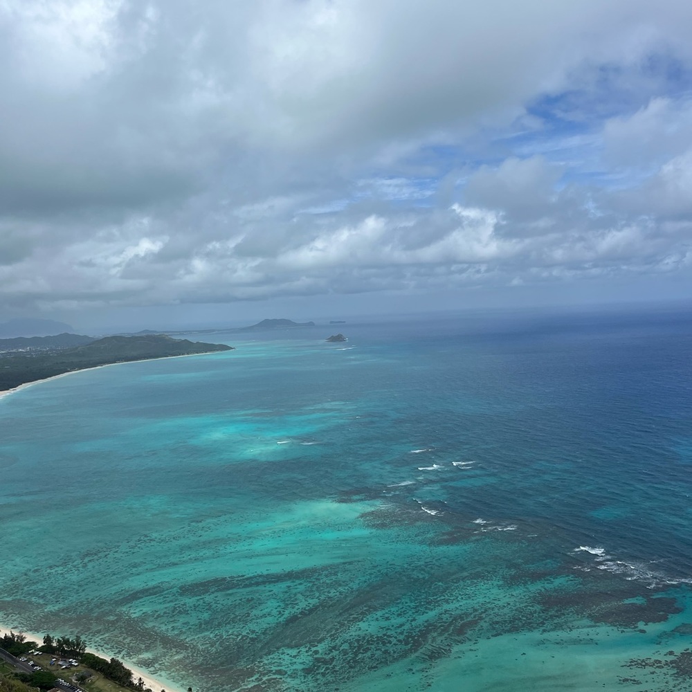 Meet your Posher, Hazel